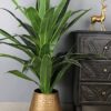 Elemntl Artificial Large Floor Plant with Plastic Pot for Home Decor (Height: 4 feet) | Decoration Items for Living Room | Decorative Table Top Indoor Plants Bonsai for Office (Dragon Plant 4 feet)